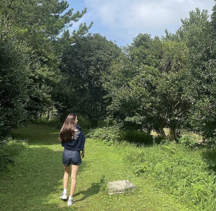 Krystal tweet media