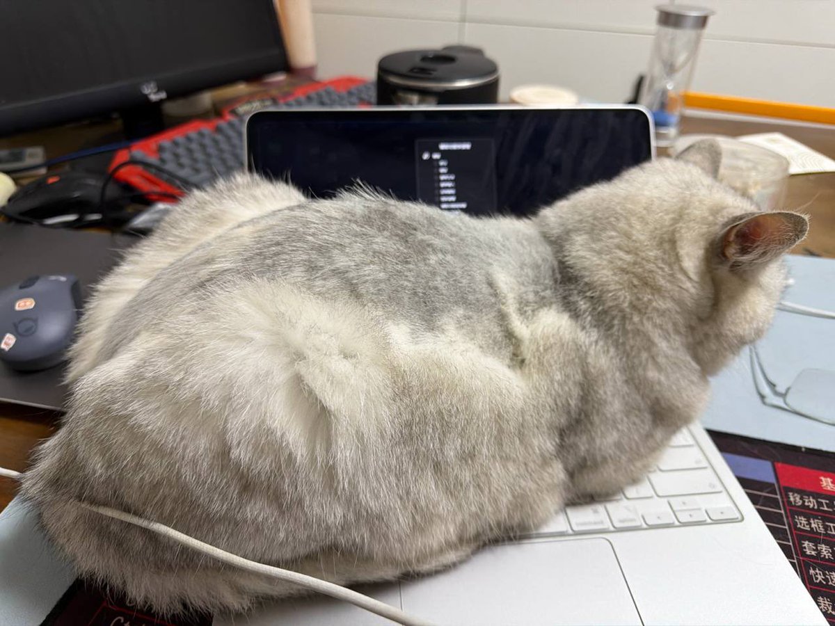 $Boom tweet media