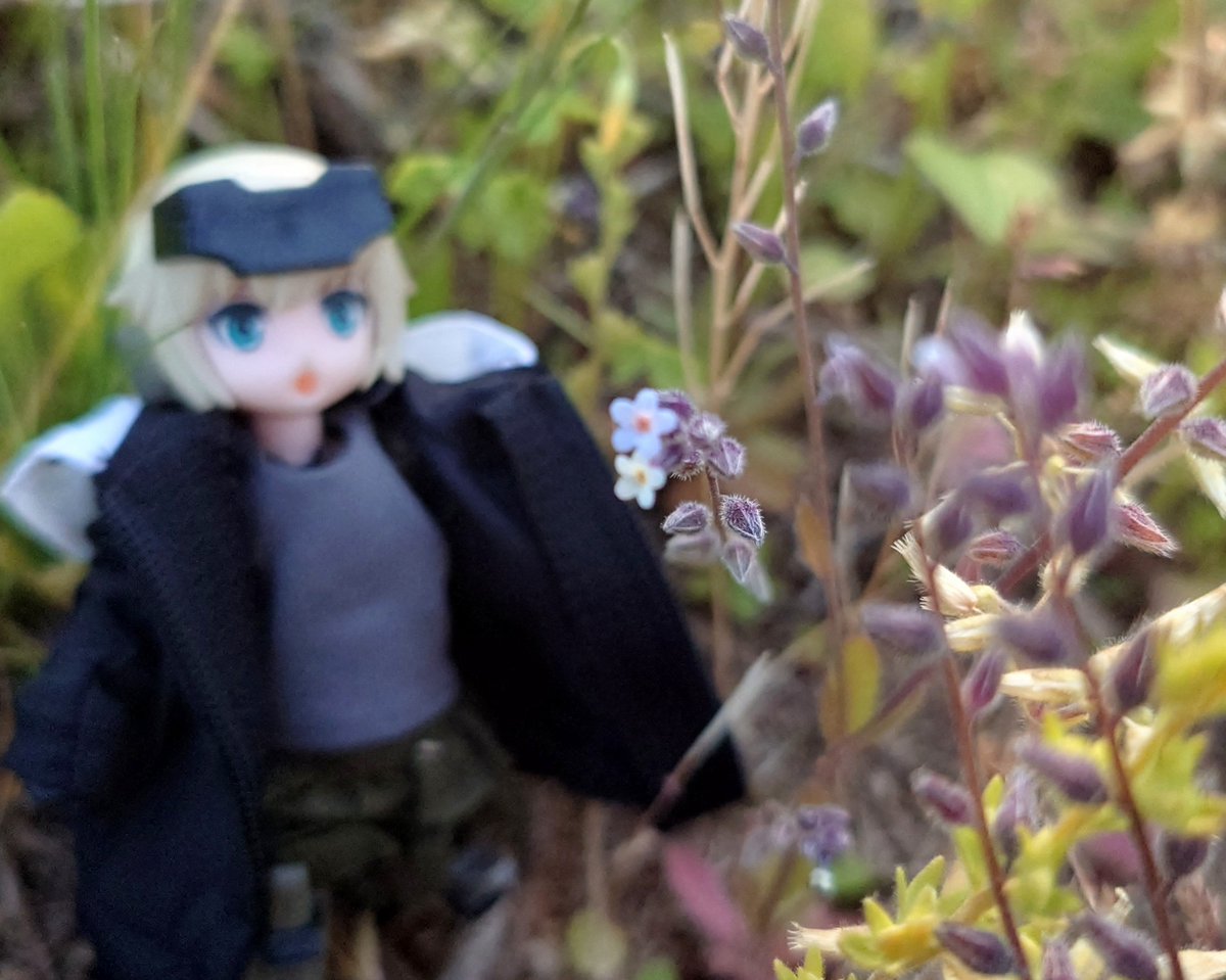 亜ラタ tweet media