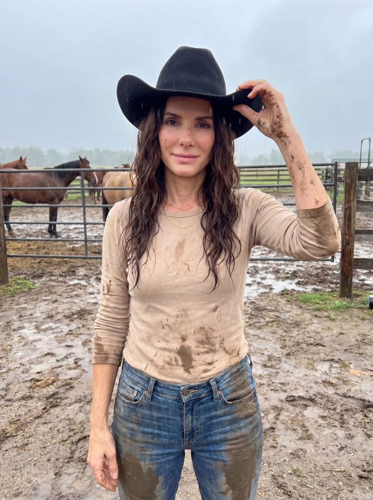 sandra bullock tweet media