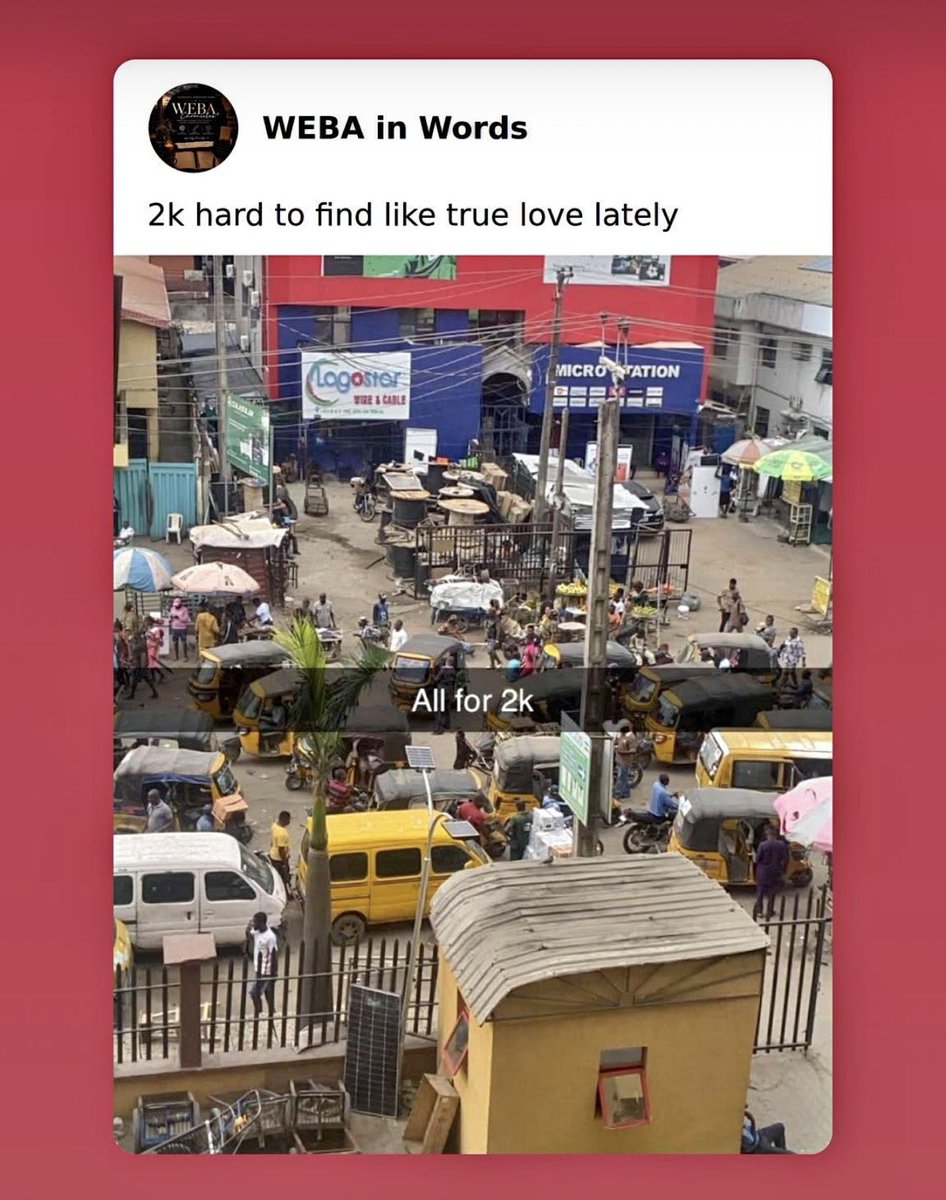 Solid Believe (WEBA) tweet media