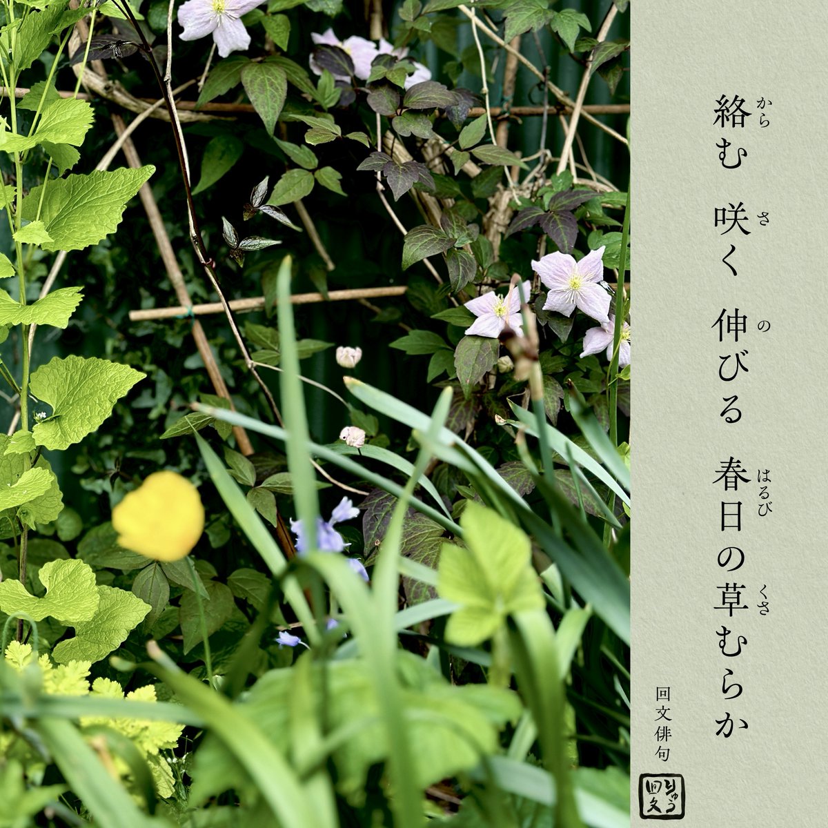 りゅう tweet media