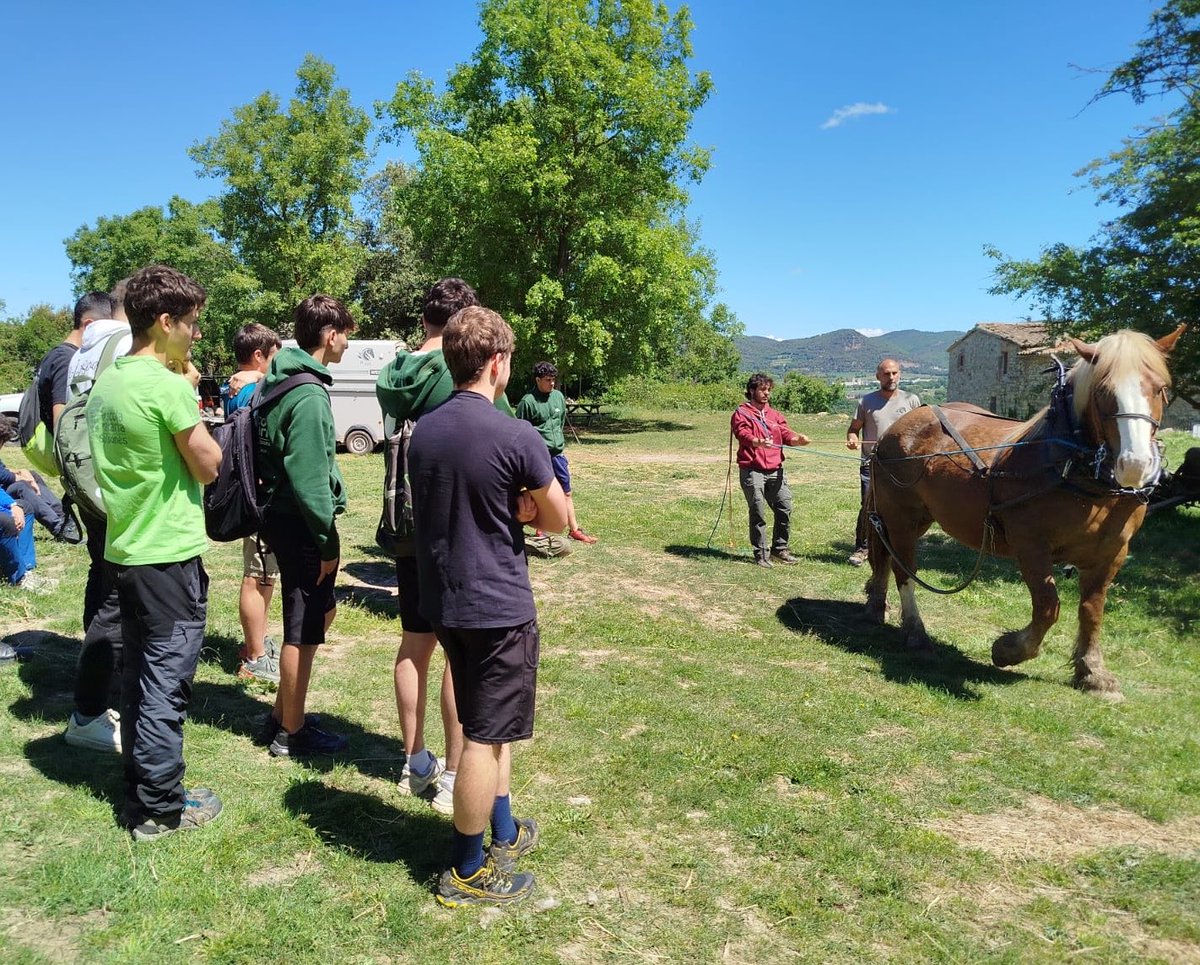 Escola Agrària del Solsonès tweet media