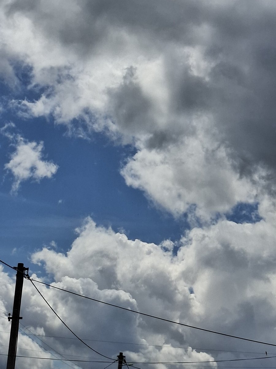 ninkx_0's tweet photo. Do you love me? #sky #bluesky #wires #cables #aesthetic #do #you #love #me #doyouloveme #rain
May 15 2026 12:44 https://t.co/7oHKIry4Eg