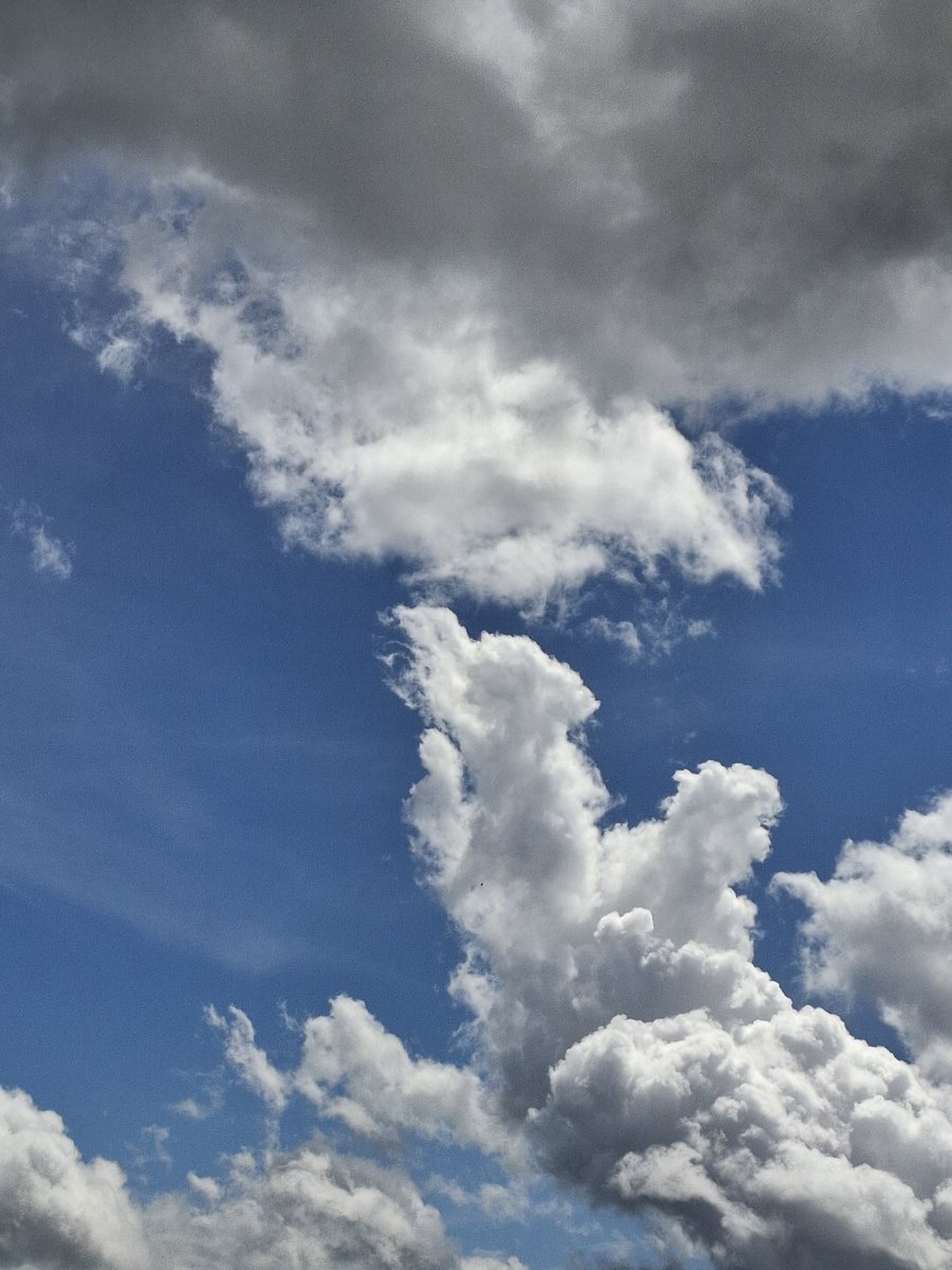 ninkx_0's tweet photo. Do you love me? #sky #bluesky #wires #cables #aesthetic #do #you #love #me #doyouloveme #rain
May 15 2026 12:44 https://t.co/7oHKIry4Eg