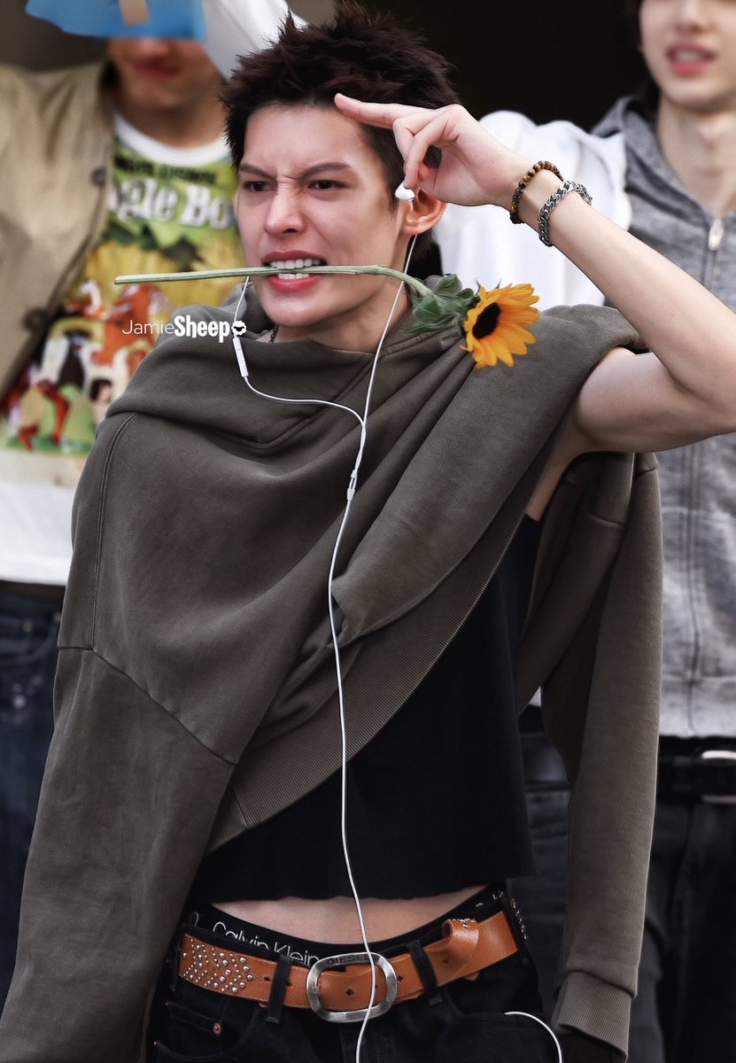 dailyjames tweet media