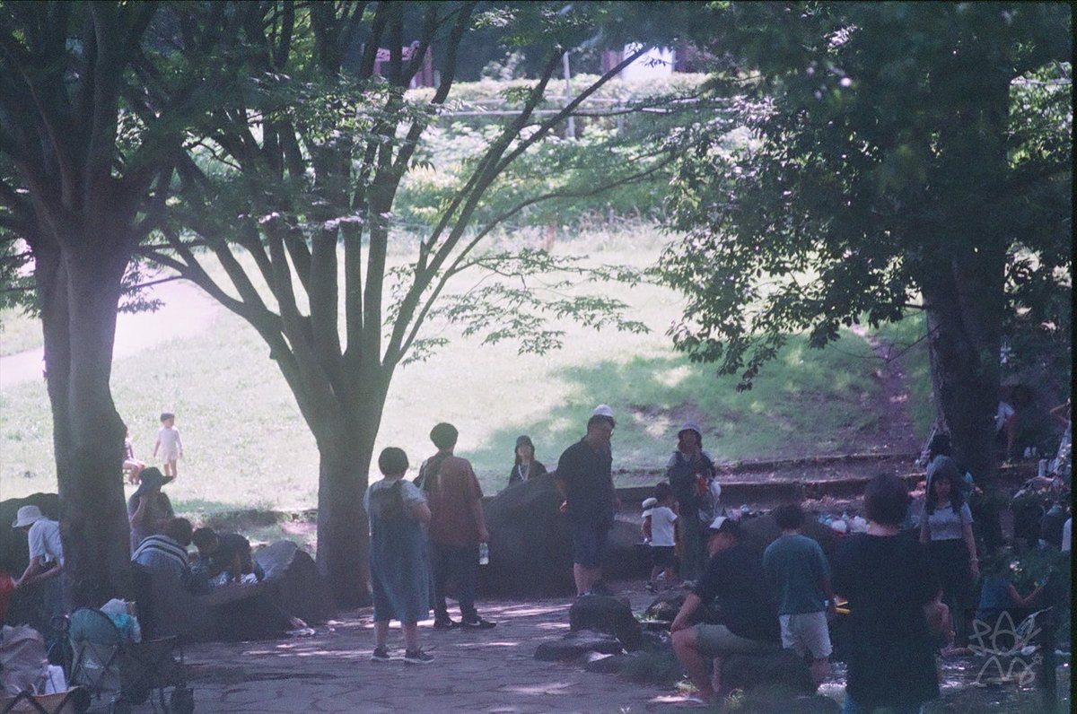 公園 Petri Half / A.C Petri Orikkor 28mm F2.8 1960Japan Fuji業務用