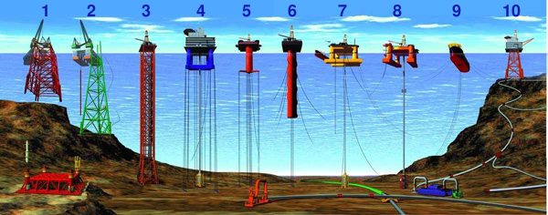 Yellow High Voltage Rat tweet media