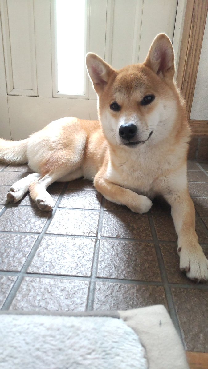 高倉あつこ tweet media