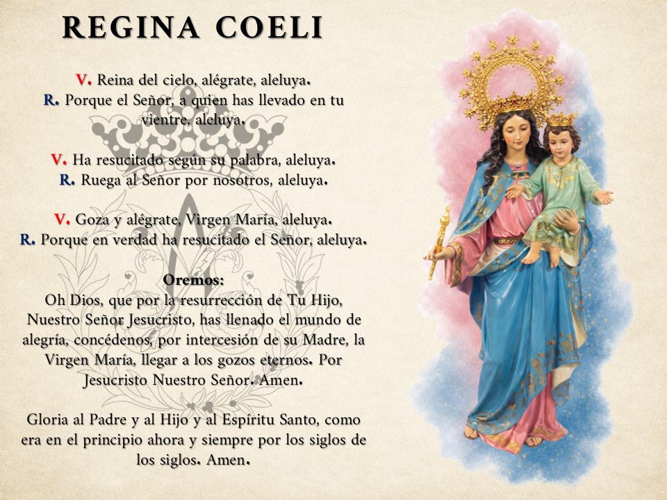 Asociación de María Auxiliadora de Almería tweet media