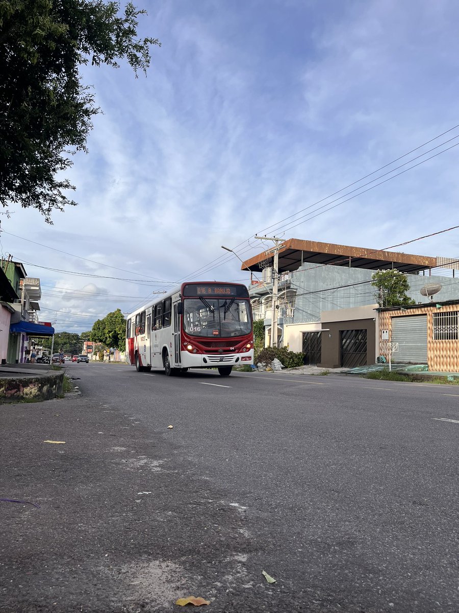 acervo 016 ᥫ᭡.🍥⋆🚌་༘🌷.ೃ࿔ tweet media
