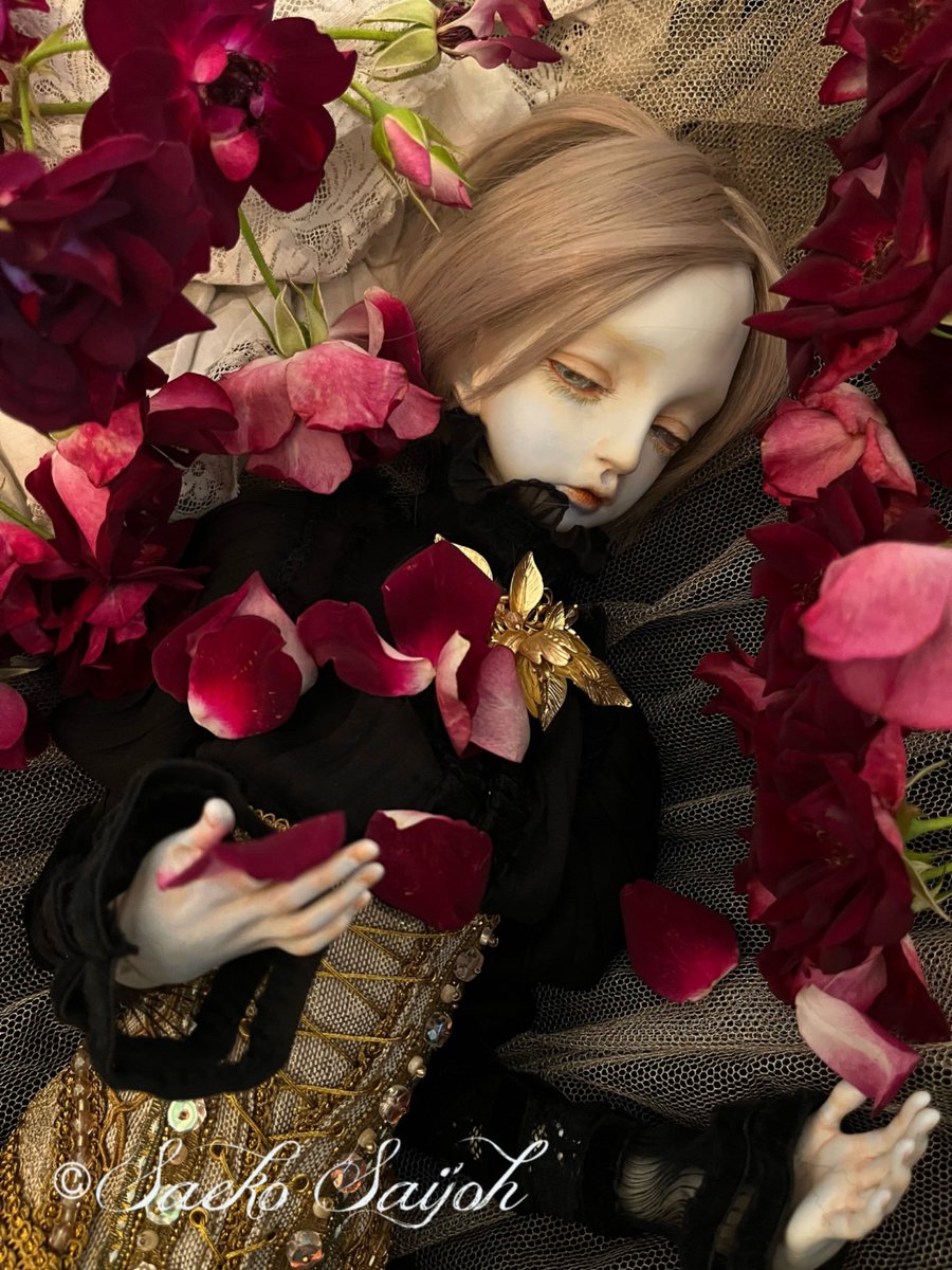 西條冴子 (@vitafragilis1) / Posts / X