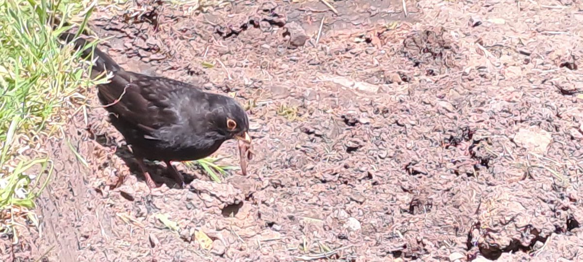 Ascerta | PCA Landscape tweet media