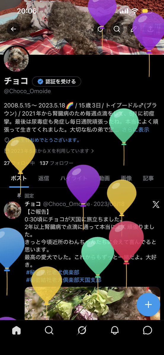 チョコ tweet media