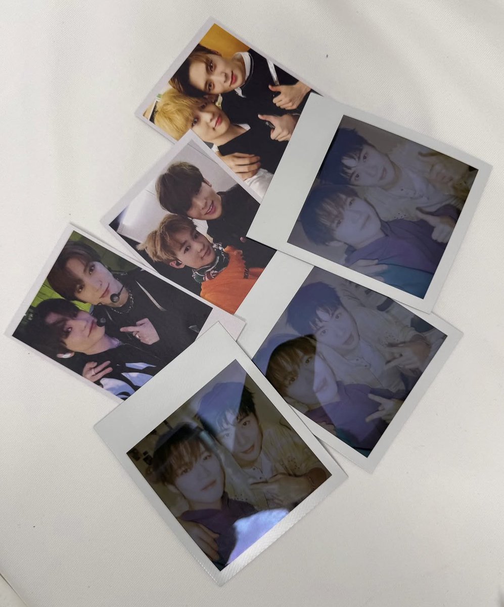 뽀 tweet media
