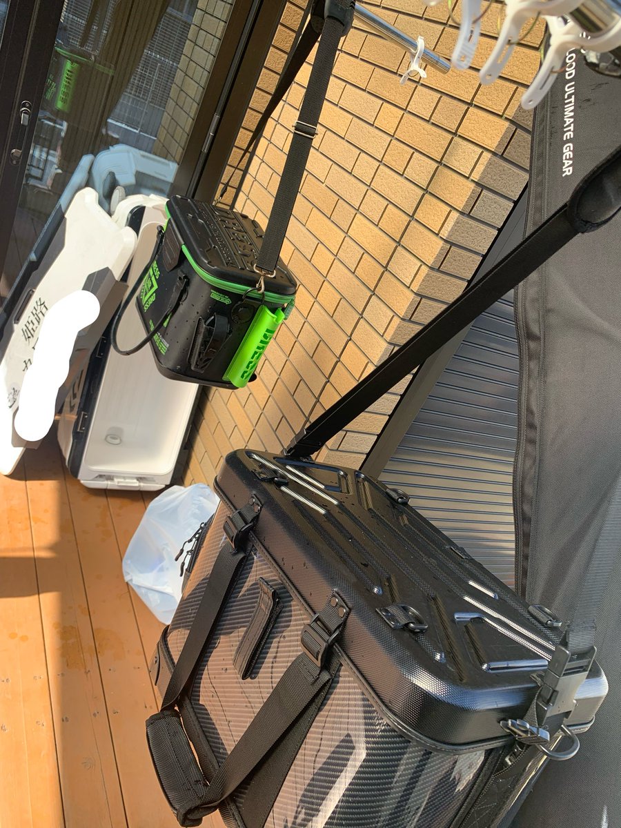 SHIROPOKARI@釣り tweet media