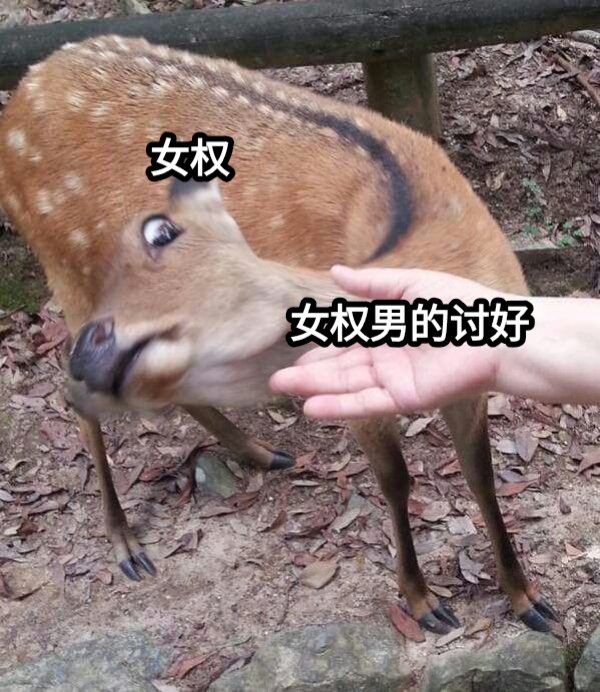 RebeccaHoshino's tweet photo. https://t.co/wGjyVQm5XS