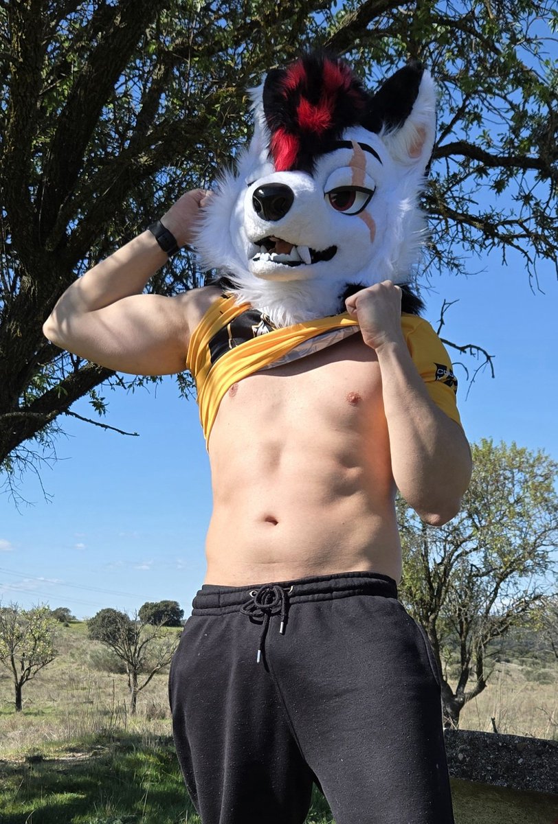 Denyern 狼 🐺 🔜 Ibercon tweet media