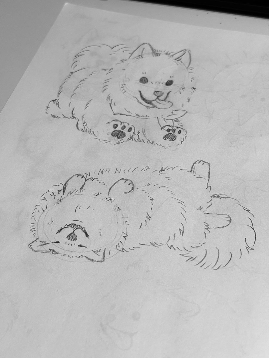° turtursketchy | #CraftAndPlay2026 🐈 tweet media