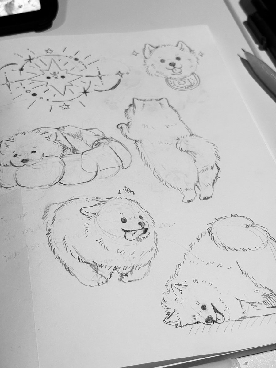 ° turtursketchy | #CraftAndPlay2026 🐈 tweet media