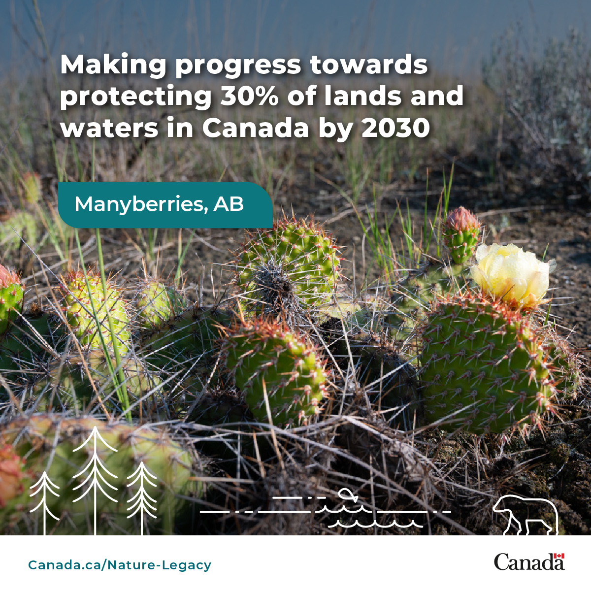 Environment Canada tweet media