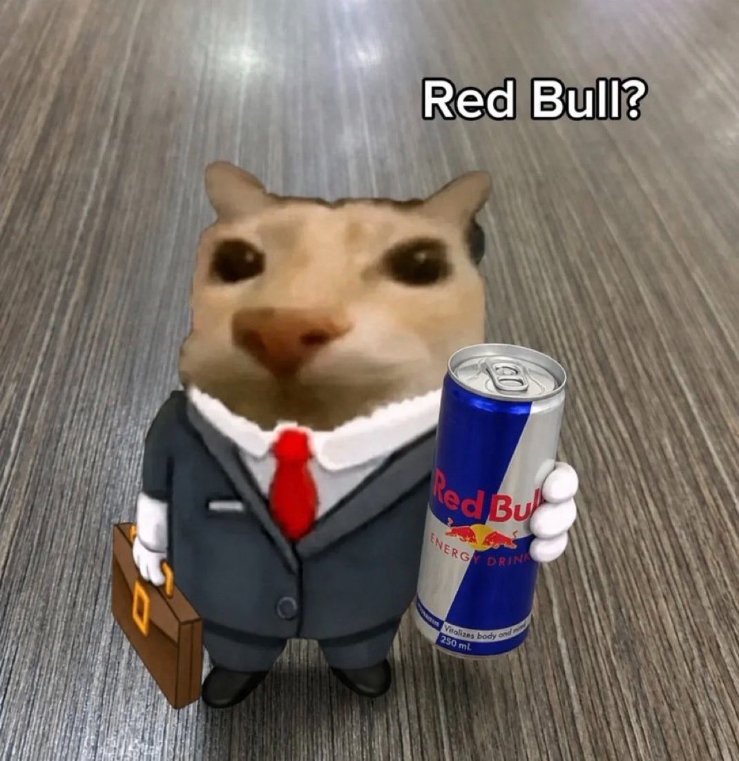 Business Cat tweet media