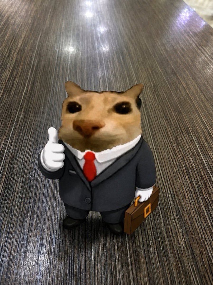 Business Cat tweet media