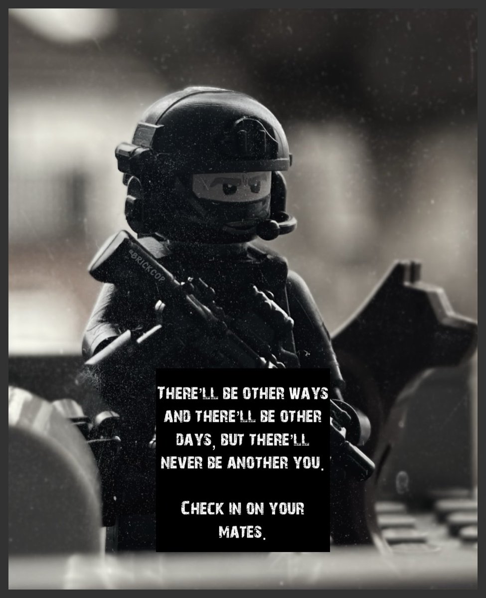 Brick Cop©️ tweet media