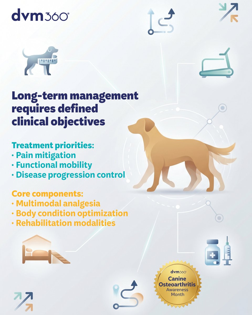 dvm360® tweet media
