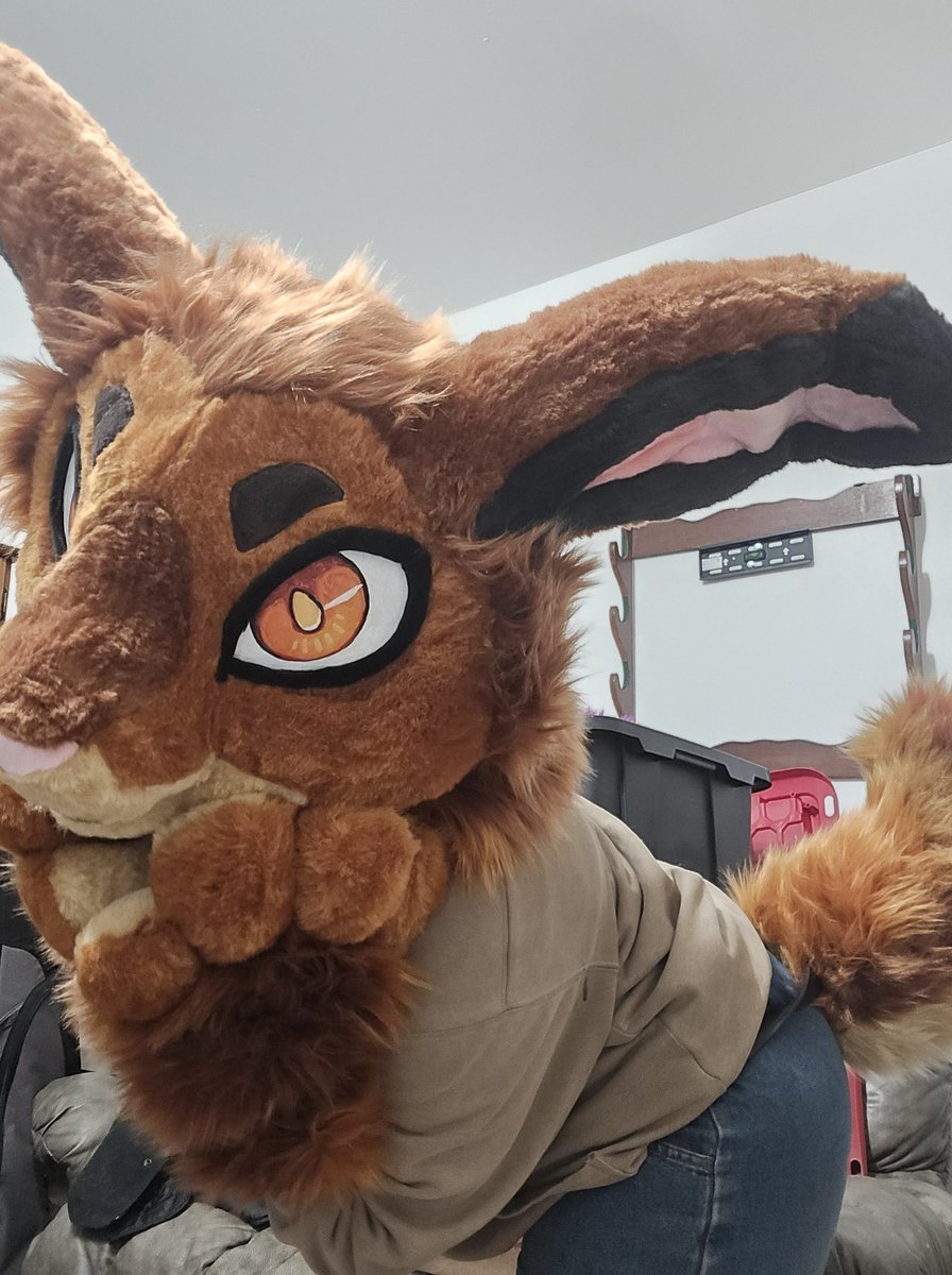 MerCatSalt's tweet photo. Happy Fursuit Friday! Finally on my way home for new photos (still on roadtrip) #fursuit #fursuitfriday https://t.co/dTND6OX2Tg