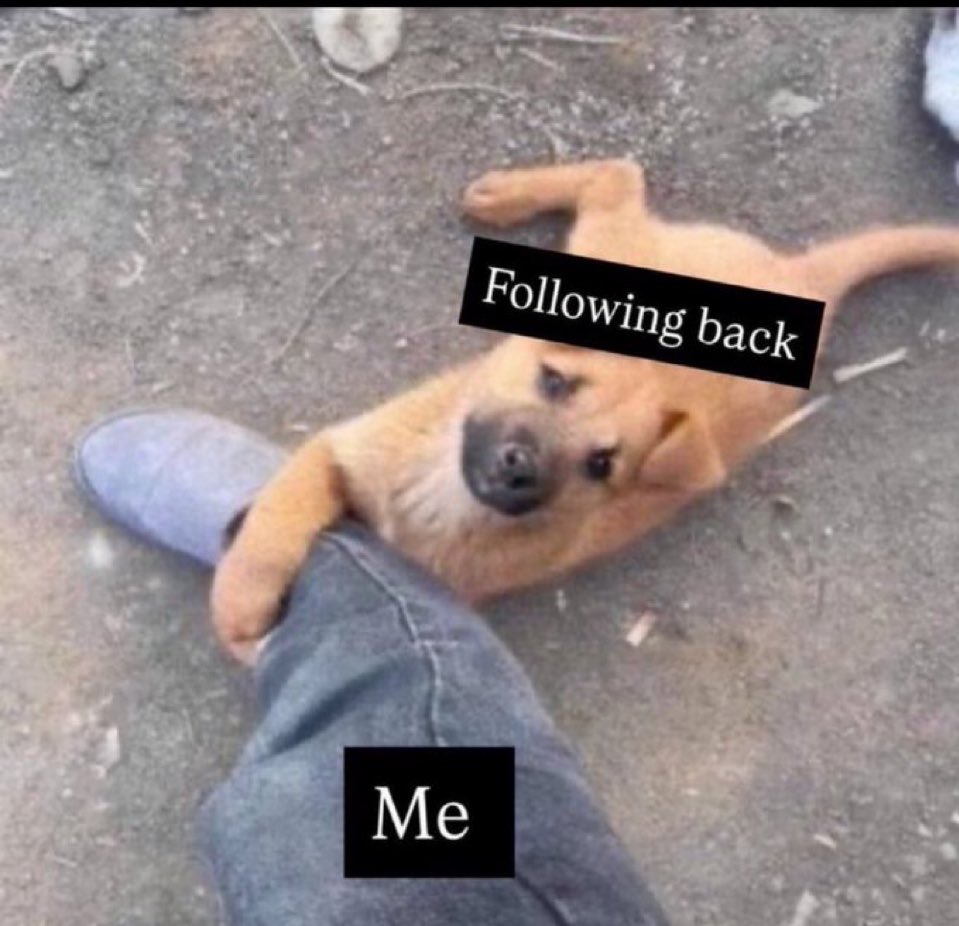 pres4cious's tweet photo. Are you active let connect 
Follow for follow https://t.co/WFExFrUUhl