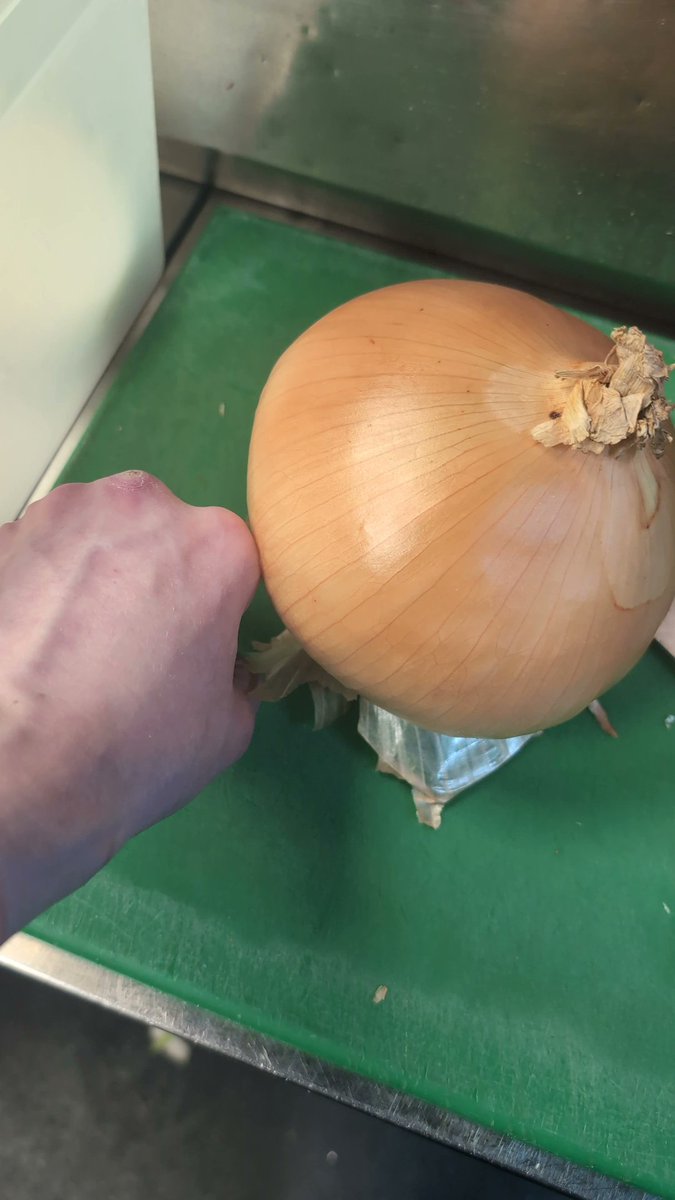 MfSolstice's tweet photo. @onionweigher check out this particularly large onion https://t.co/Pk7xUEKmPv
