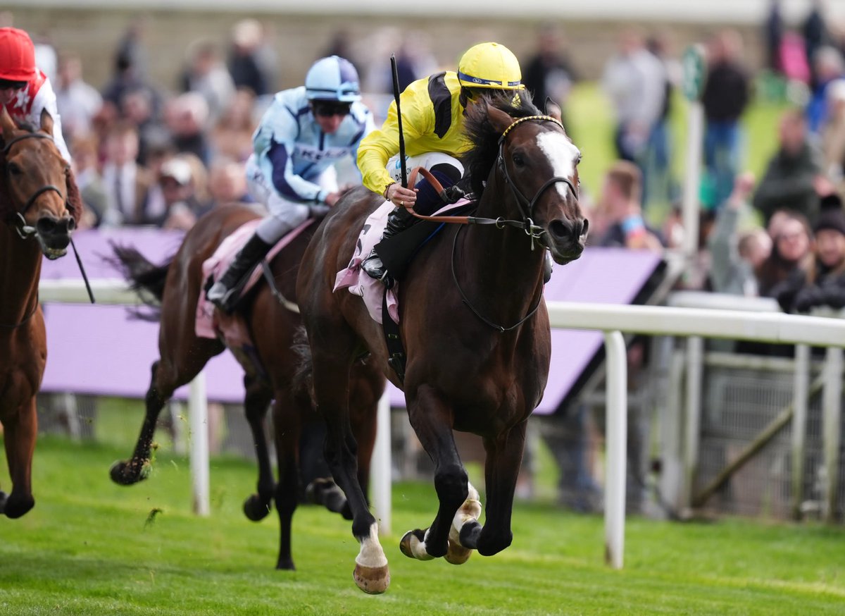 Racing Tips tweet media