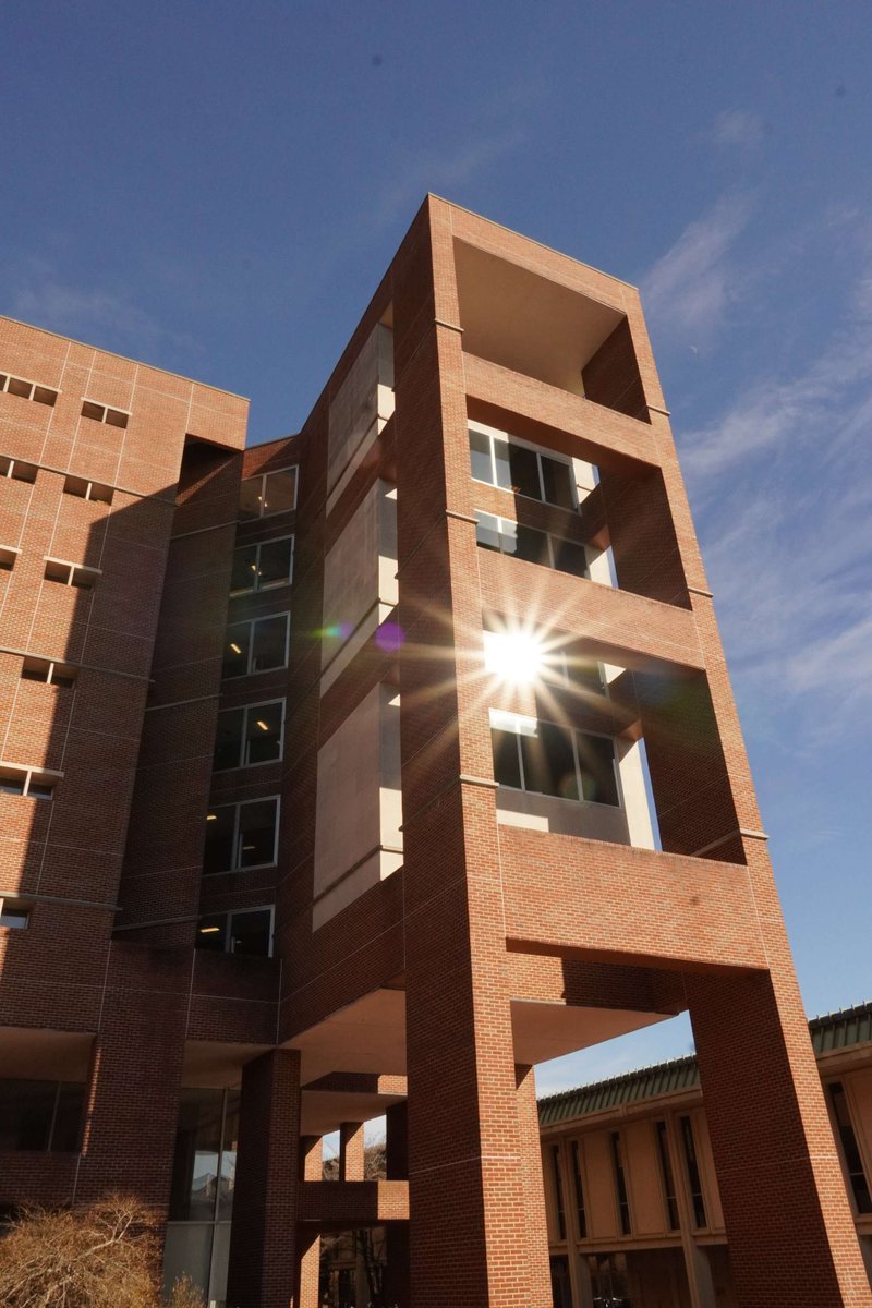 UNC Library tweet media