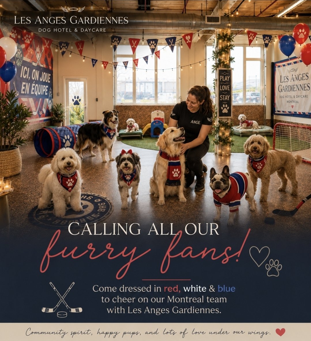 lesangesmtl's tweet photo. Who coming to doggy daycare // Hotel Tomorrow ? Saturday 16th May  #hockeymontreal Encouraging our team together . Dress up #hockey #canadiens #nhl #montrealcanadiens https://t.co/JWzsngcRYJ