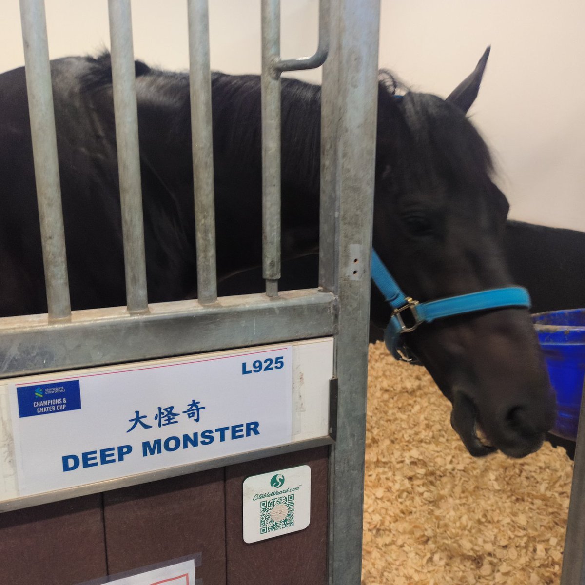 Hong Kong Racing North America tweet media