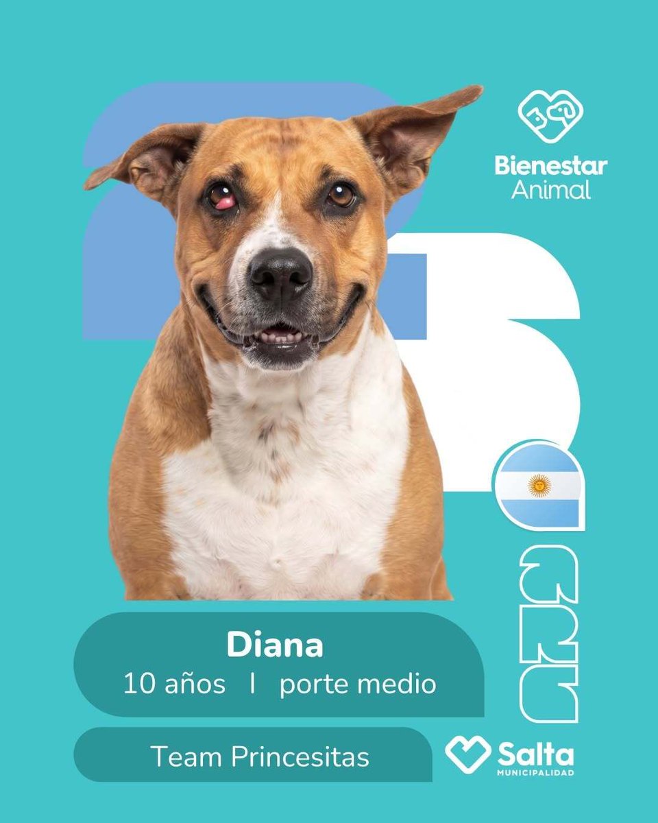 Sopitas tweet media