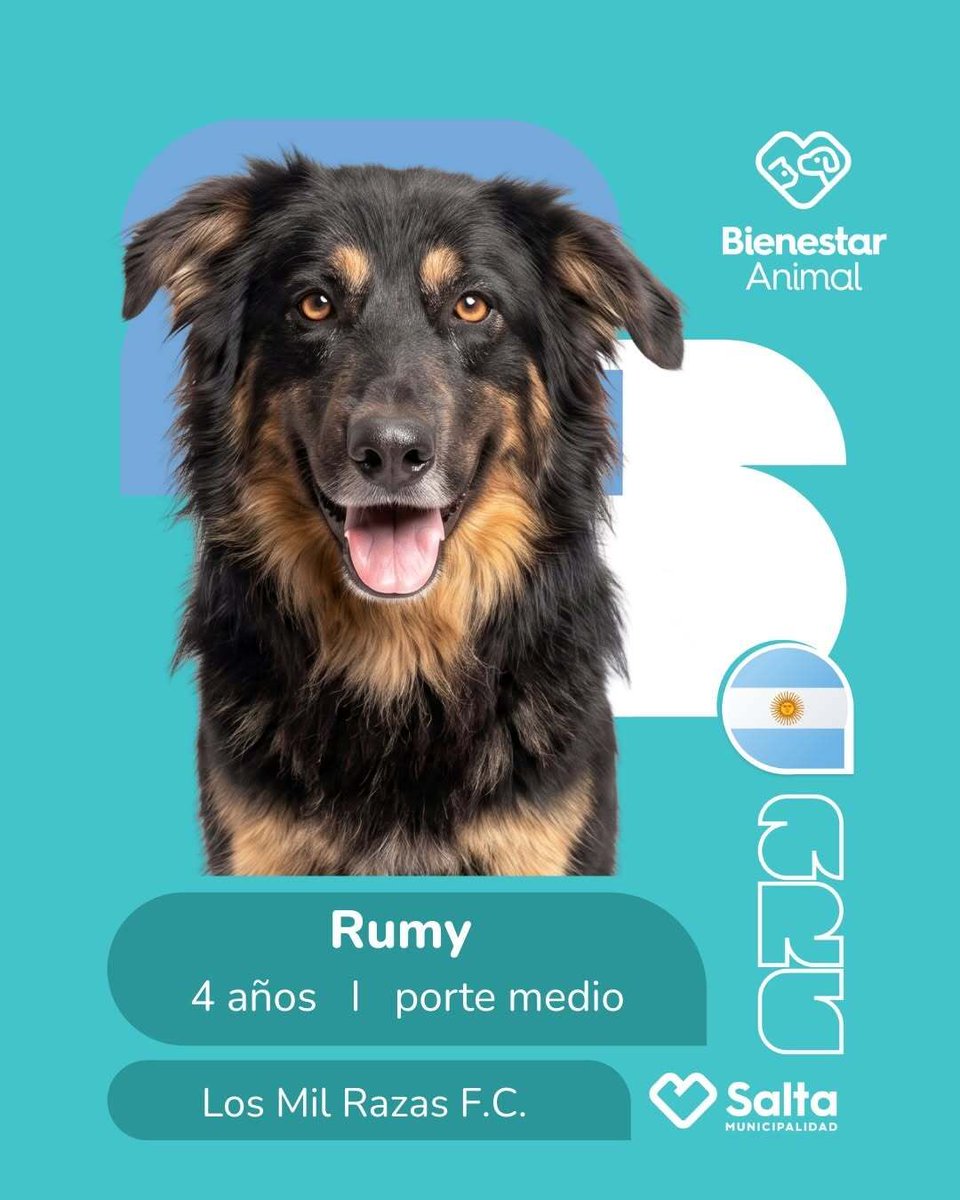 Sopitas tweet media