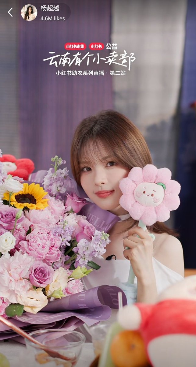 🐻 ⁷ tweet media