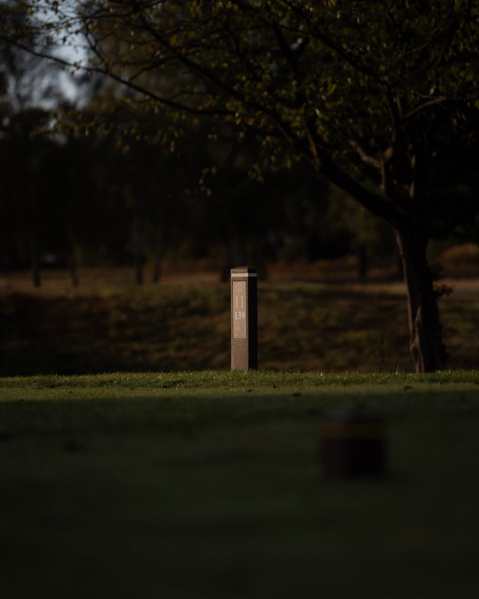 whgc1886's tweet photo. Measuring just 139 yards, our eleventh is our shortest par three on the course. Yet, it remains quite formidable. Here is every angle. https://t.co/I7DmlBJoS8