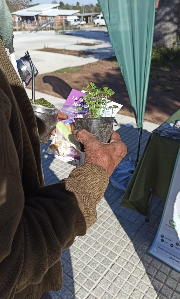 inda_uy's tweet photo. En el marco del programa Comunidad a la Plaza, desde INDA participamos de una jornada de sensibilización sobre el consumo de sal junto a usuarias y usuarios del Comedor 5 y adolescentes de UTU, en el Centro de Políticas Sociales.

Seguimos fortaleciendo el trabajo en territorio💚 https://t.co/3TrSWUcGW0