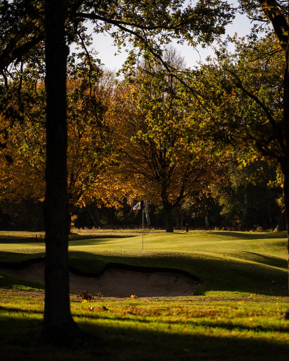 whgc1886's tweet photo. Measuring just 139 yards, our eleventh is our shortest par three on the course. Yet, it remains quite formidable. Here is every angle. https://t.co/I7DmlBJoS8