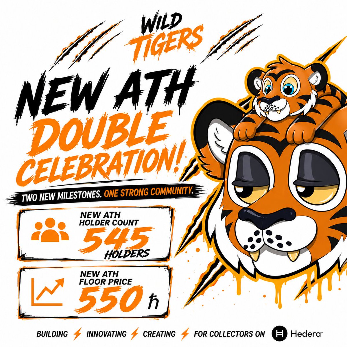 WildTigers tweet media
