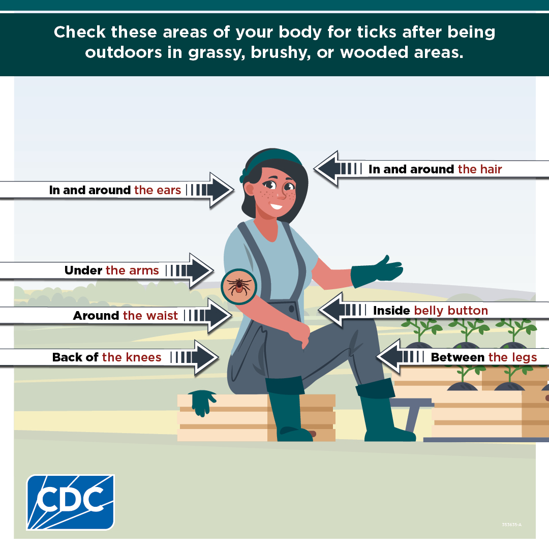 EHHDHealth's tweet photo. Take steps to minimize the potential for ticks in your yard, and the possible exposure to Lyme Disease Learn more at: https://t.co/q1eWV6dJ1h... https://t.co/Gw35T3z6bD