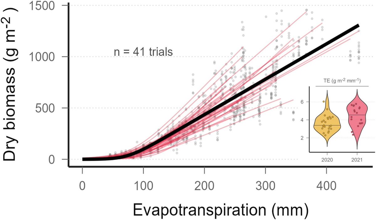 insilicoplants's tweet photo. NEW!
💧🌾 Sensor-based estimation of evapotranspiration and water use efficiency in Australian #wheat variety trials
by Javier A. Fernandez, Carla Gho, Daniel T. Smith, Pengcheng Hu, Bangyou Zheng, and Scott C. Chapman
https://t.co/RBm1qphSeq #PlantScience #drought #APSIM @QAAFI @UQ_News @CoEPlantSuccess