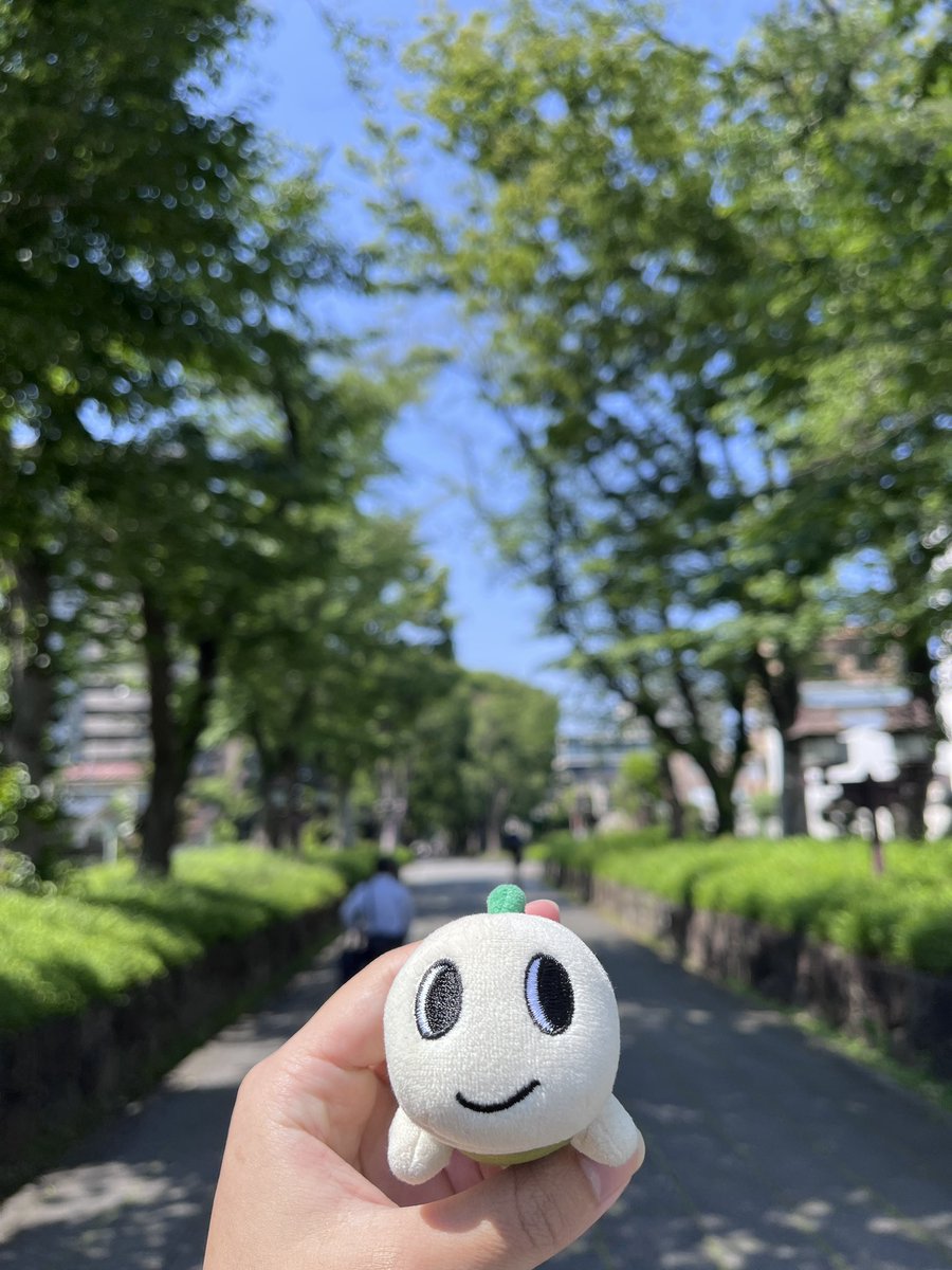 南川さん tweet media