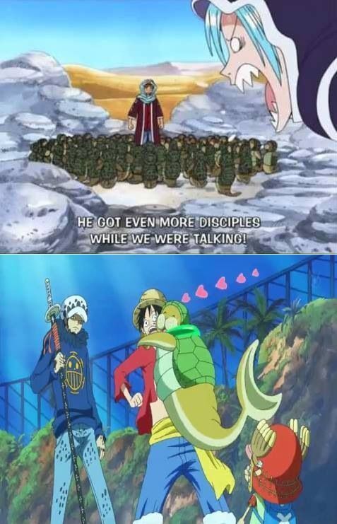 One Piece Daily tweet media