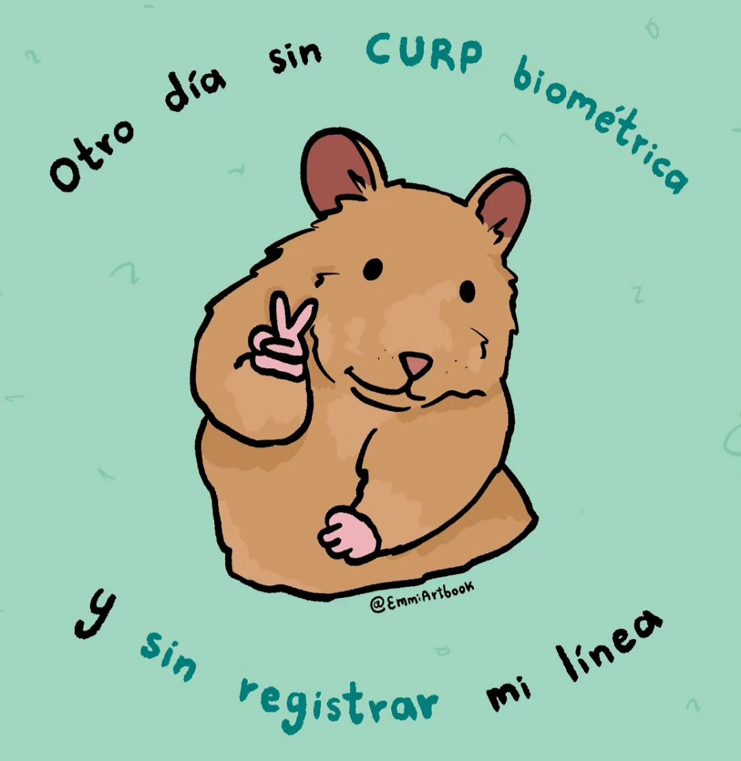 💫Soy Copita de Baileys💫 tweet media