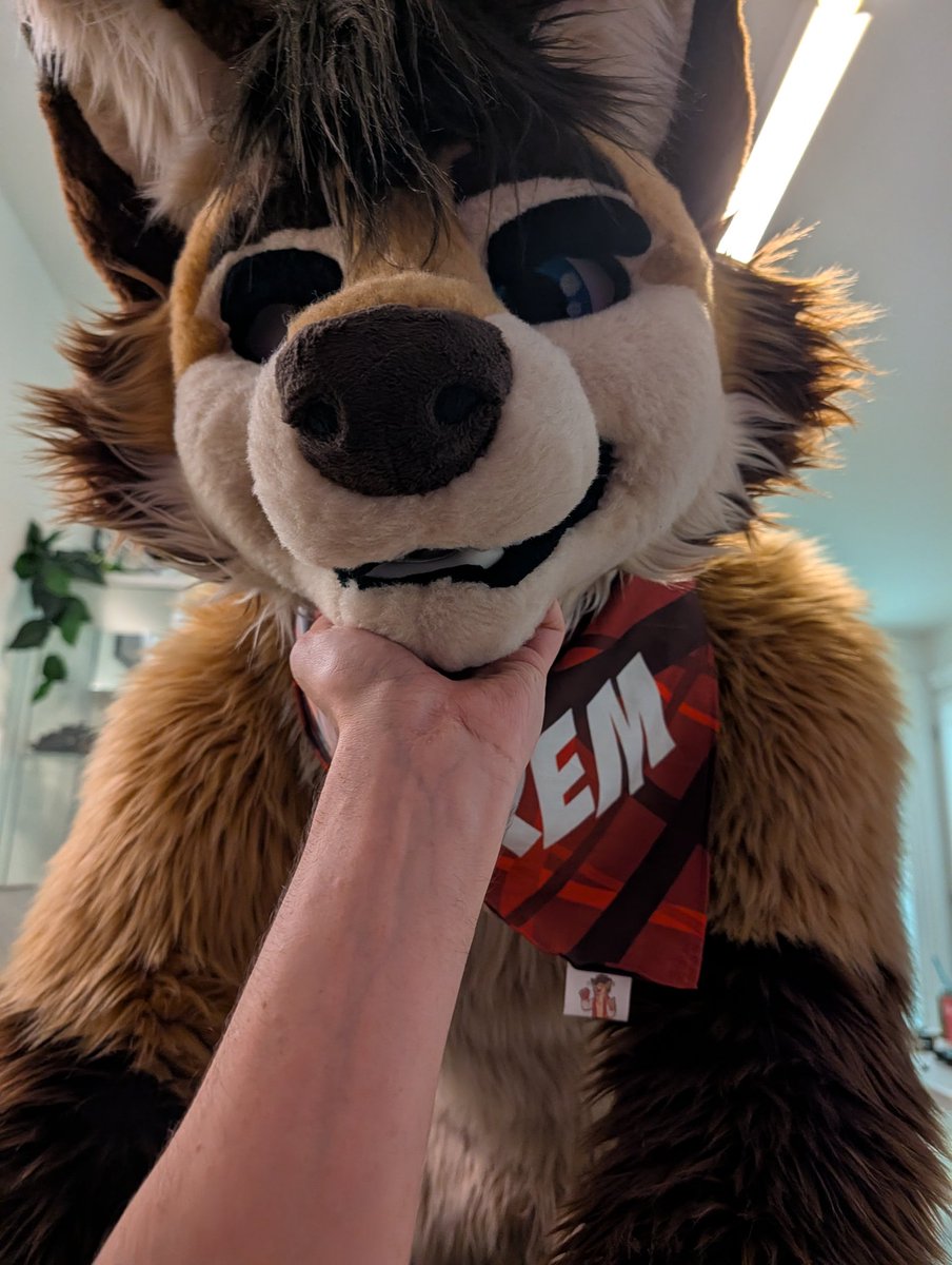 🐾 Grem 🐾 | tweet media