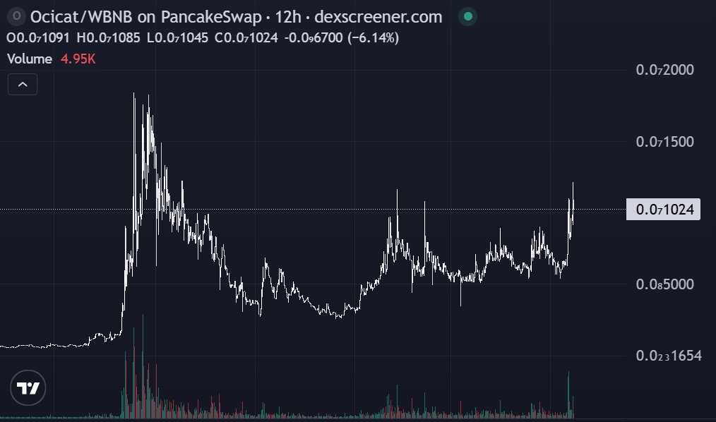 CoinBitDao华人社区🐸 tweet media